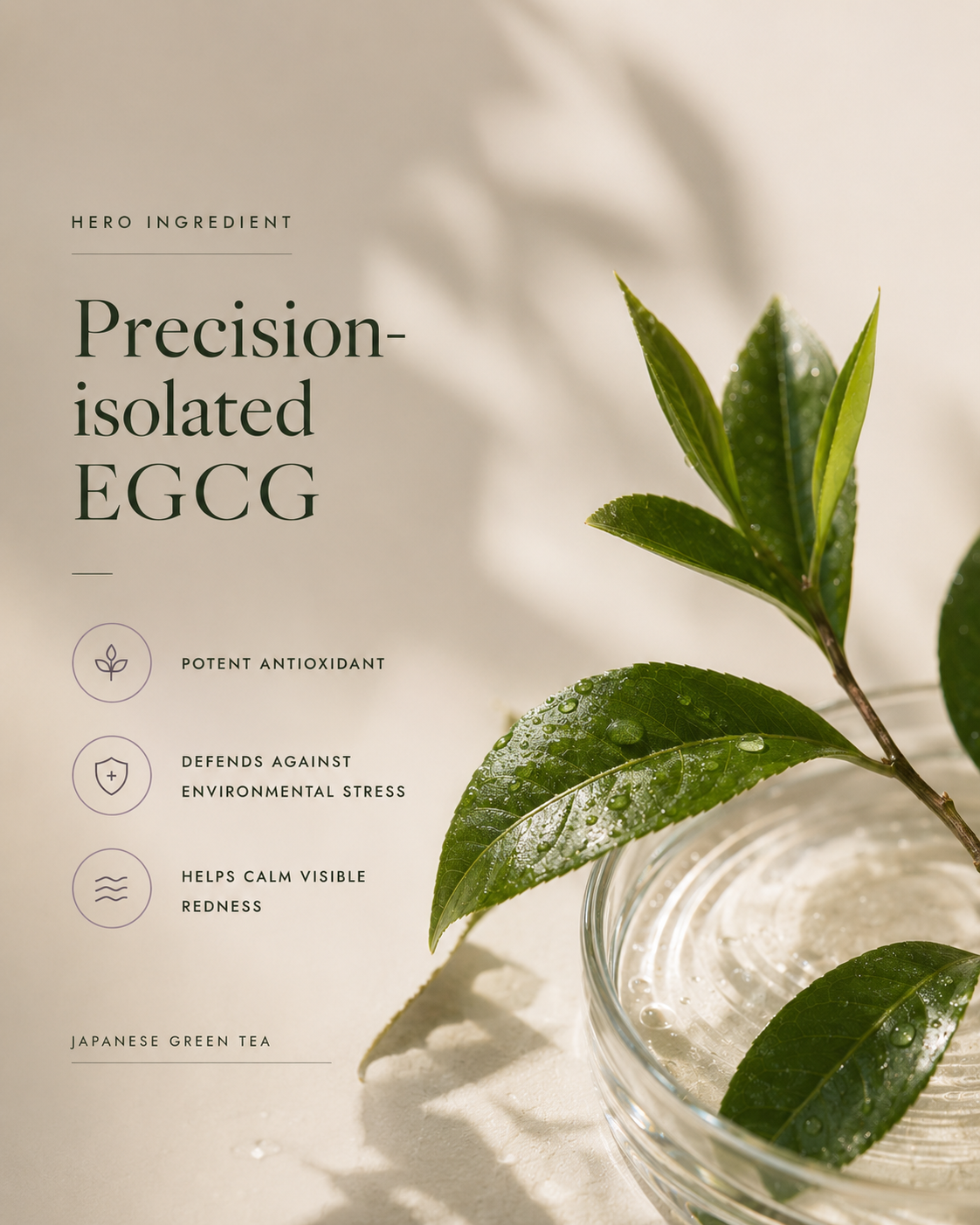 RECOVER-ME EGCG + PAD TONER
